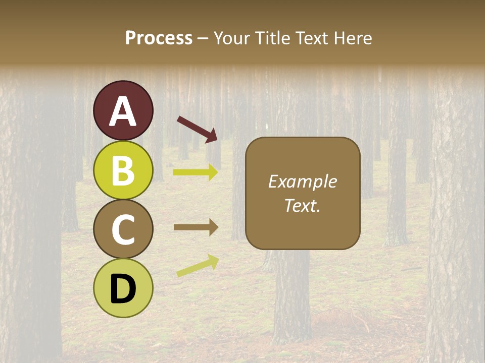 Pine Timber Spring PowerPoint Template