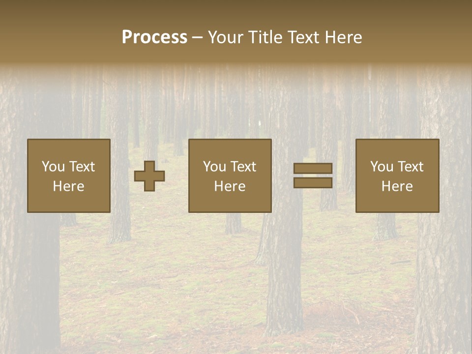 Pine Timber Spring PowerPoint Template
