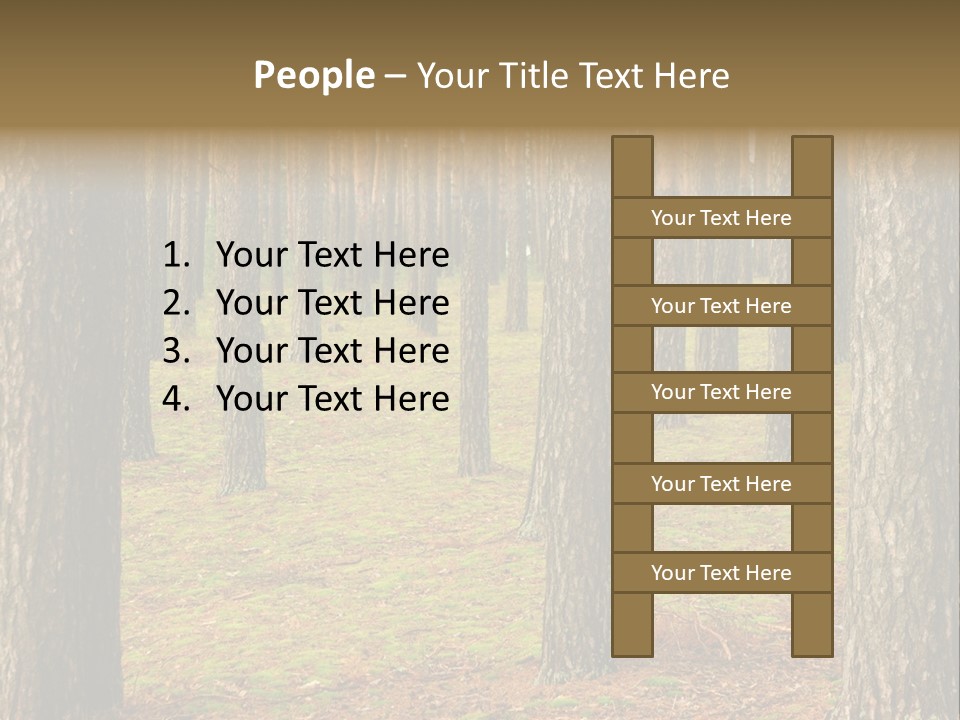 Pine Timber Spring PowerPoint Template