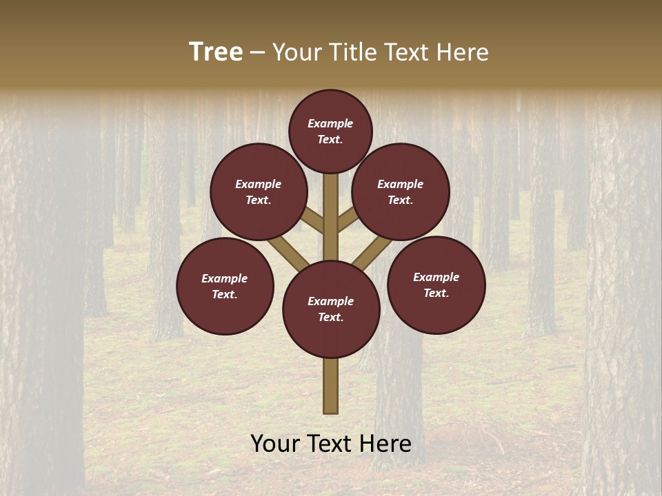 Pine Timber Spring PowerPoint Template