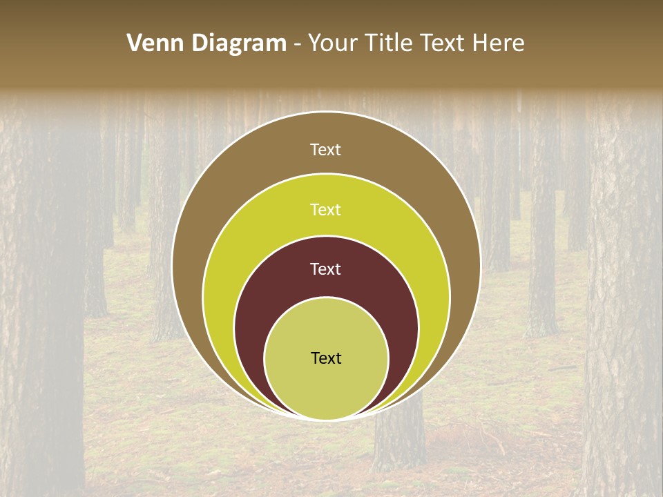 Pine Timber Spring PowerPoint Template