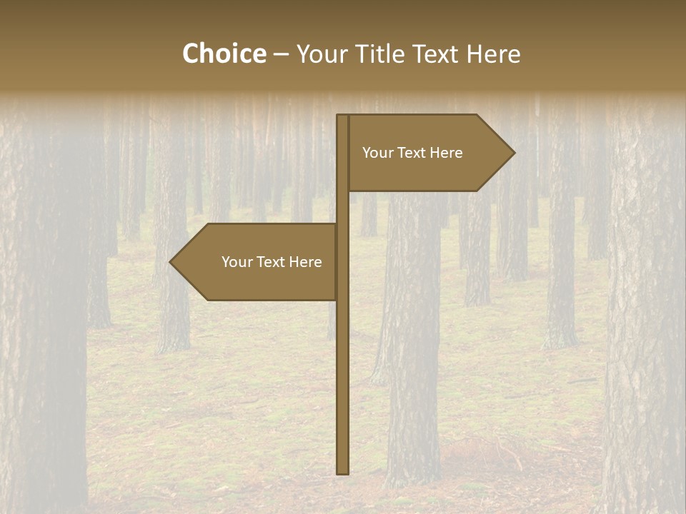 Pine Timber Spring PowerPoint Template