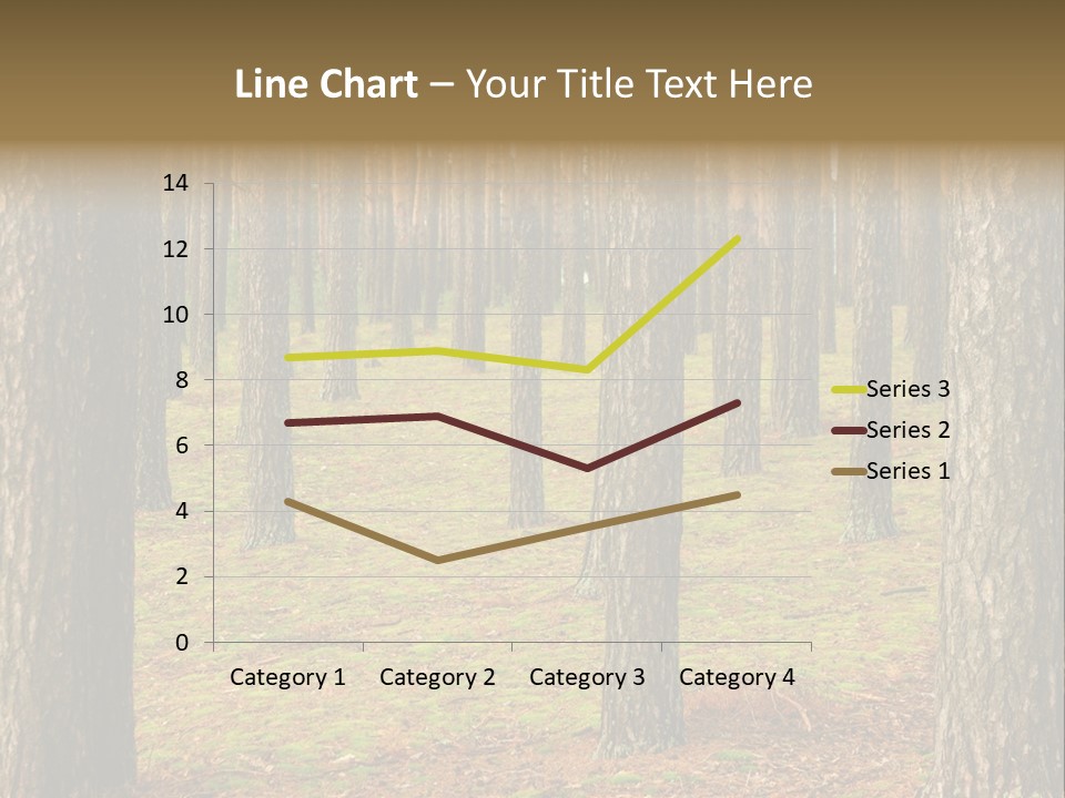 Pine Timber Spring PowerPoint Template