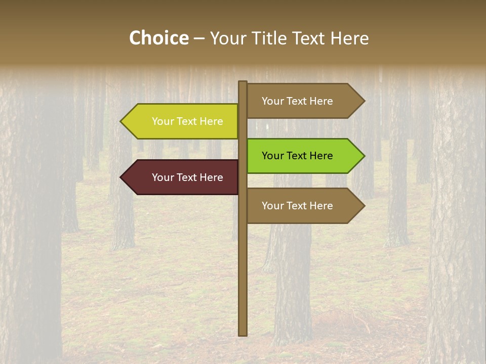 Pine Timber Spring PowerPoint Template