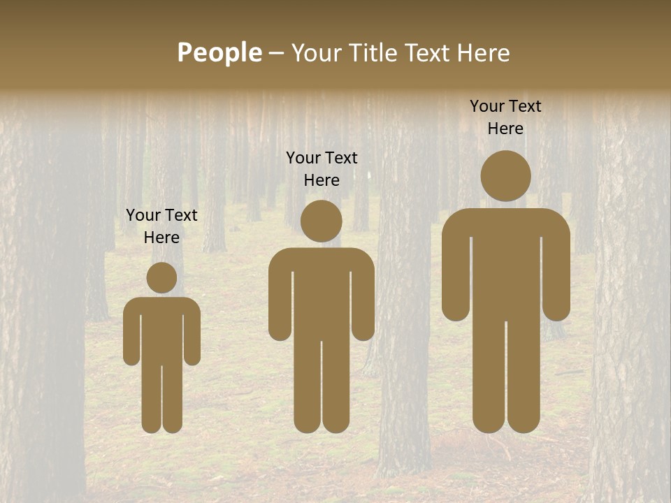 Pine Timber Spring PowerPoint Template