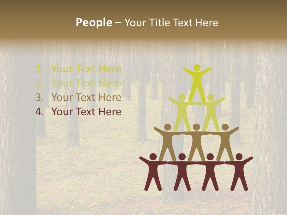 Pine Timber Spring PowerPoint Template