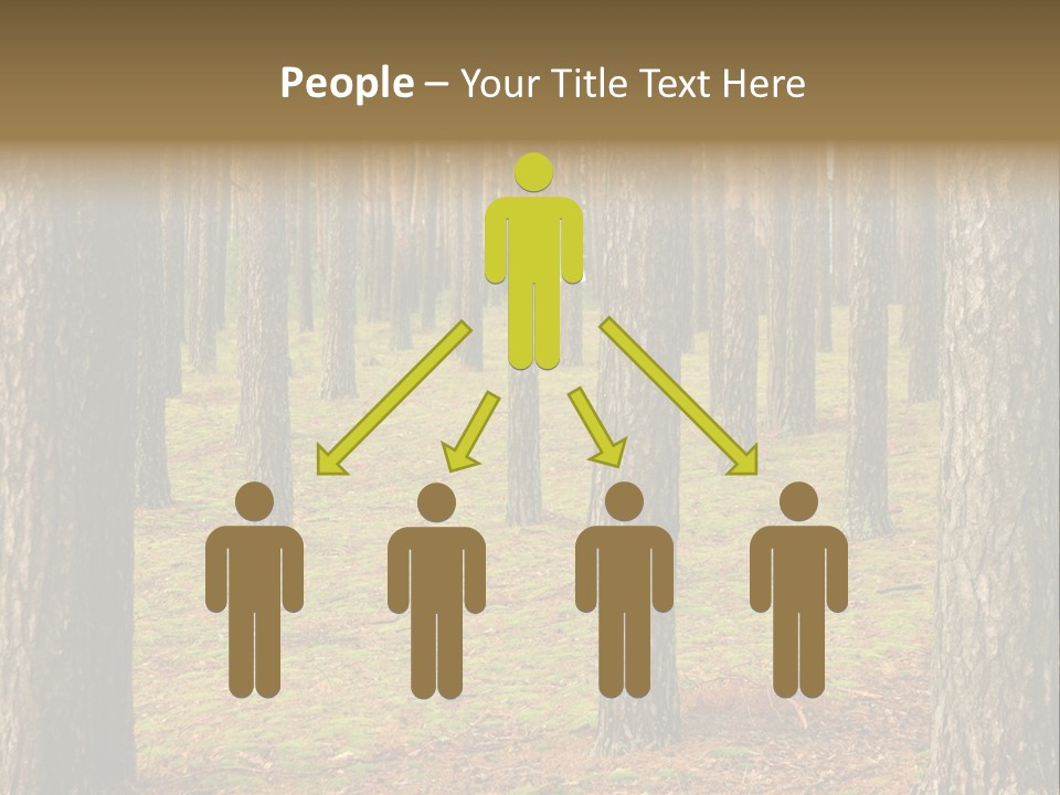 Pine Timber Spring PowerPoint Template