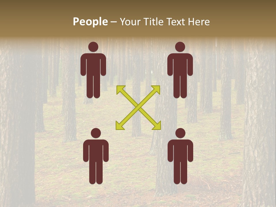 Pine Timber Spring PowerPoint Template