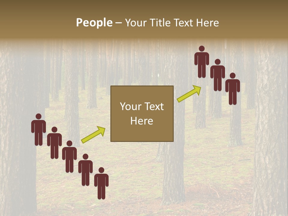 Pine Timber Spring PowerPoint Template