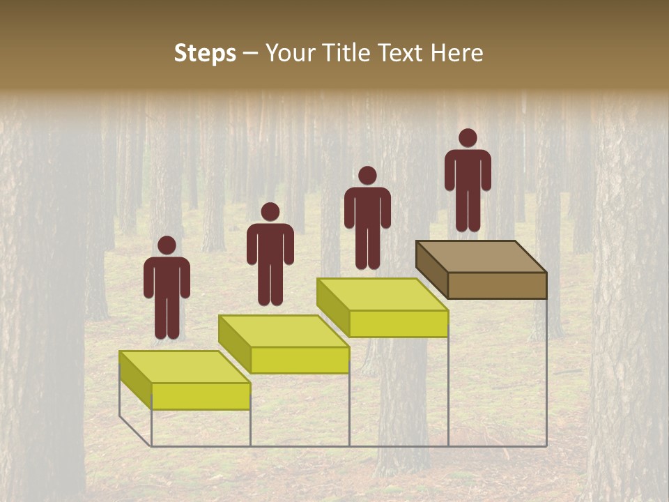Pine Timber Spring PowerPoint Template