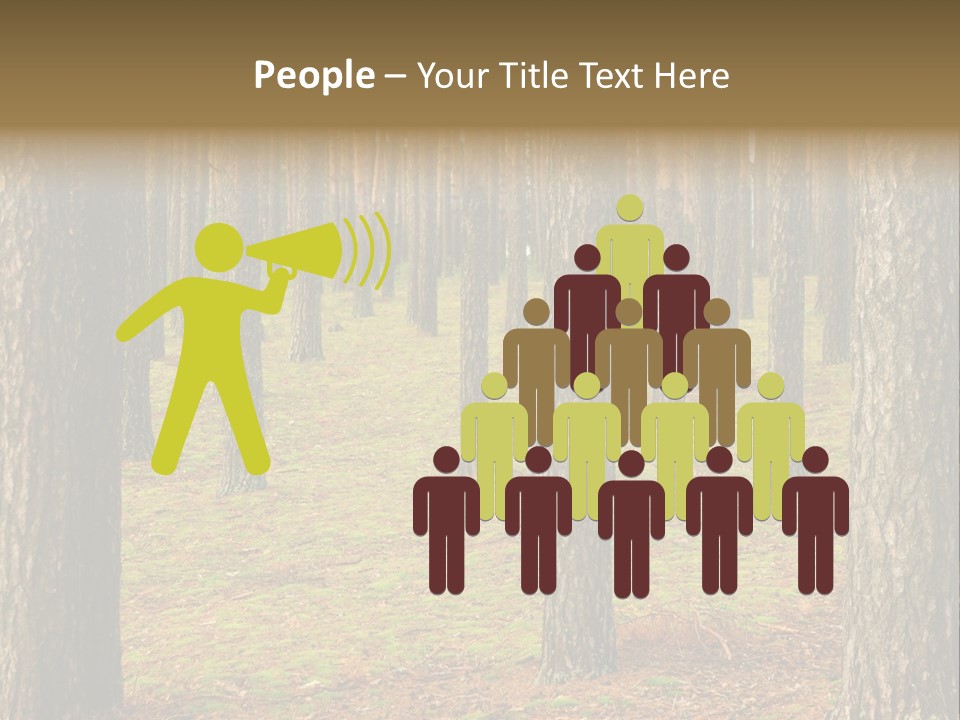 Pine Timber Spring PowerPoint Template