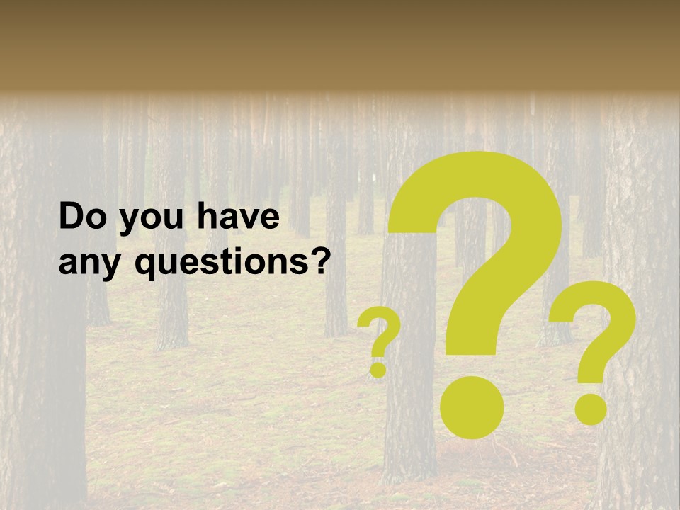 Pine Timber Spring PowerPoint Template