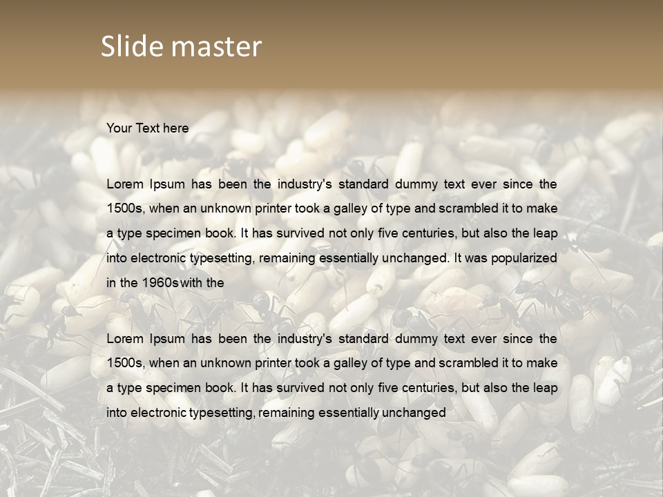 Worker Insect Detail PowerPoint Template