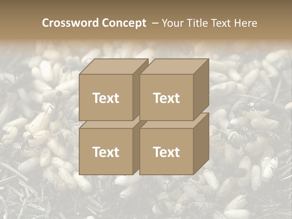 Worker Insect Detail PowerPoint Template