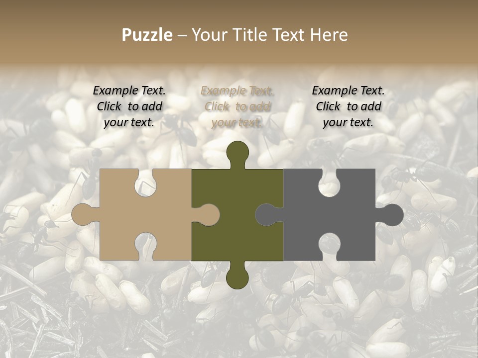 Worker Insect Detail PowerPoint Template