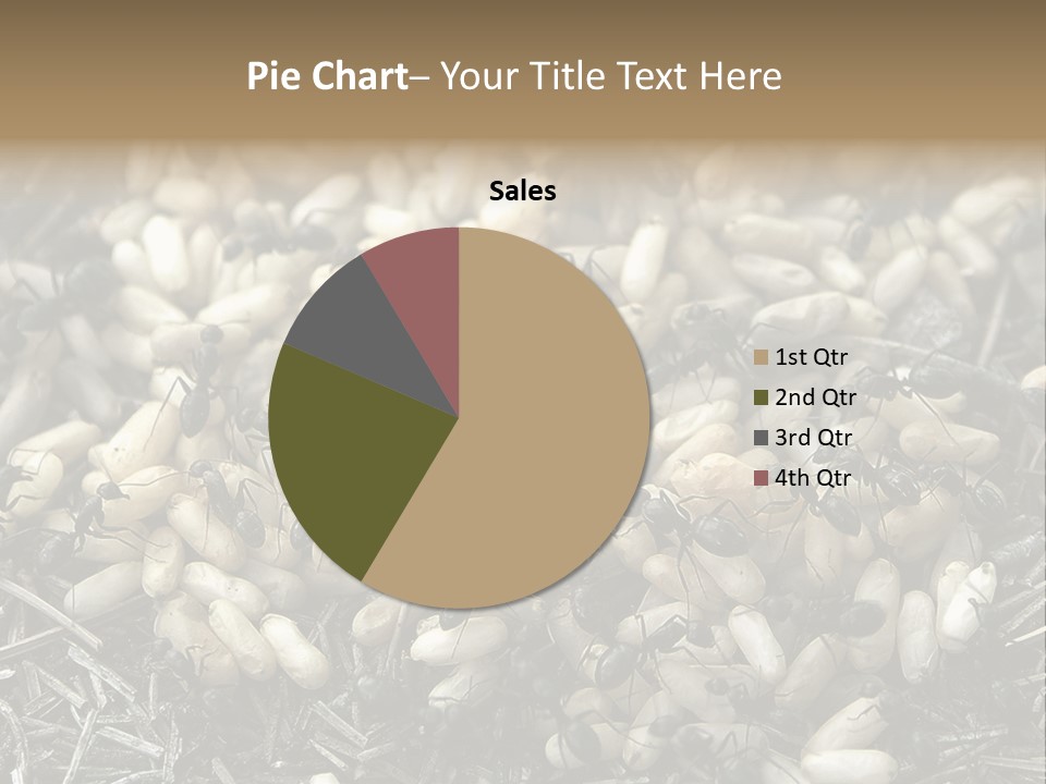 Worker Insect Detail PowerPoint Template