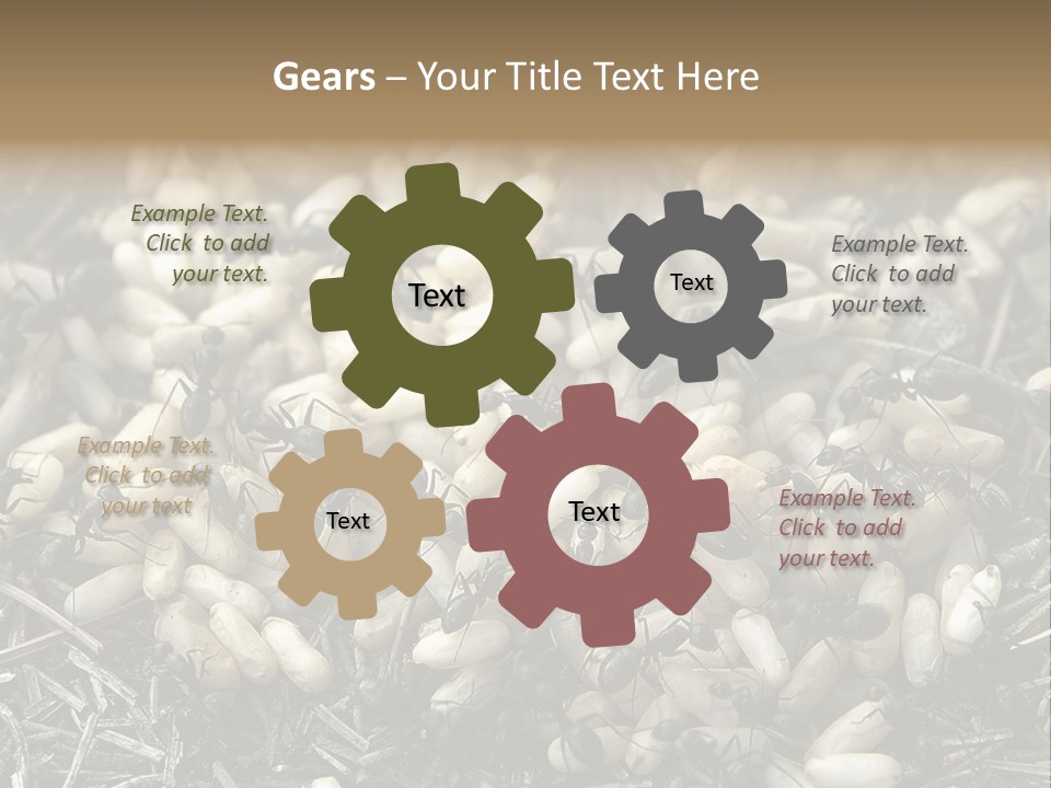 Worker Insect Detail PowerPoint Template