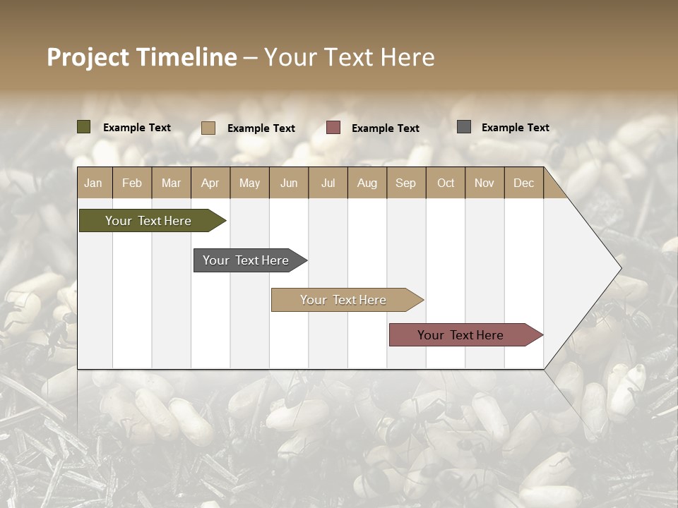 Worker Insect Detail PowerPoint Template