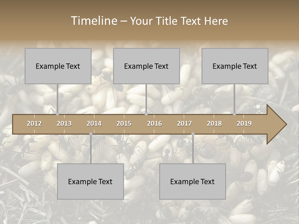 Worker Insect Detail PowerPoint Template