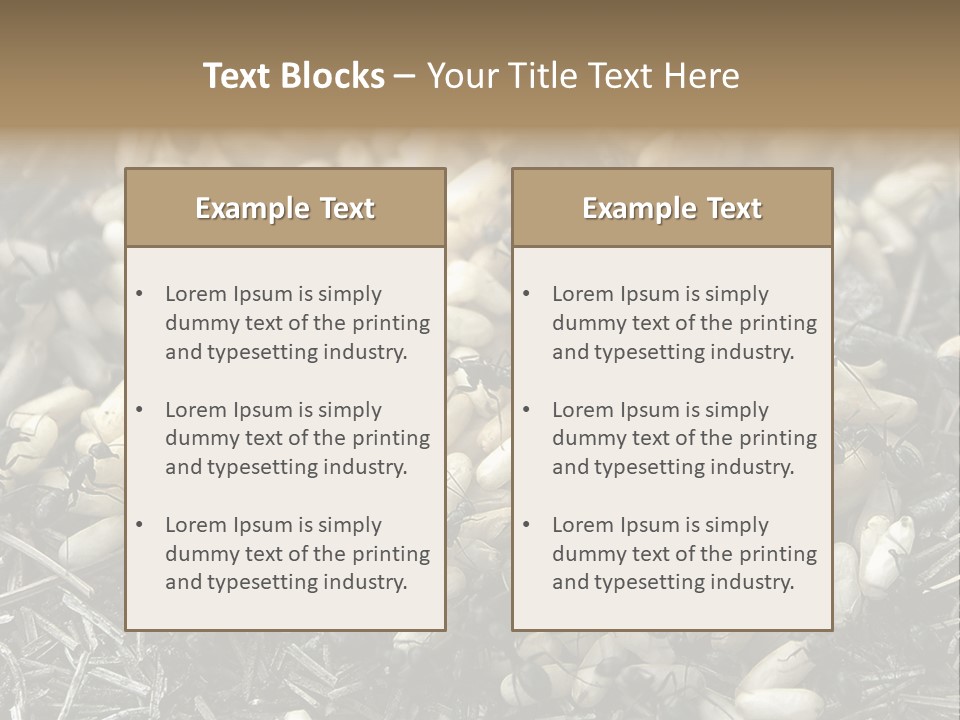 Worker Insect Detail PowerPoint Template