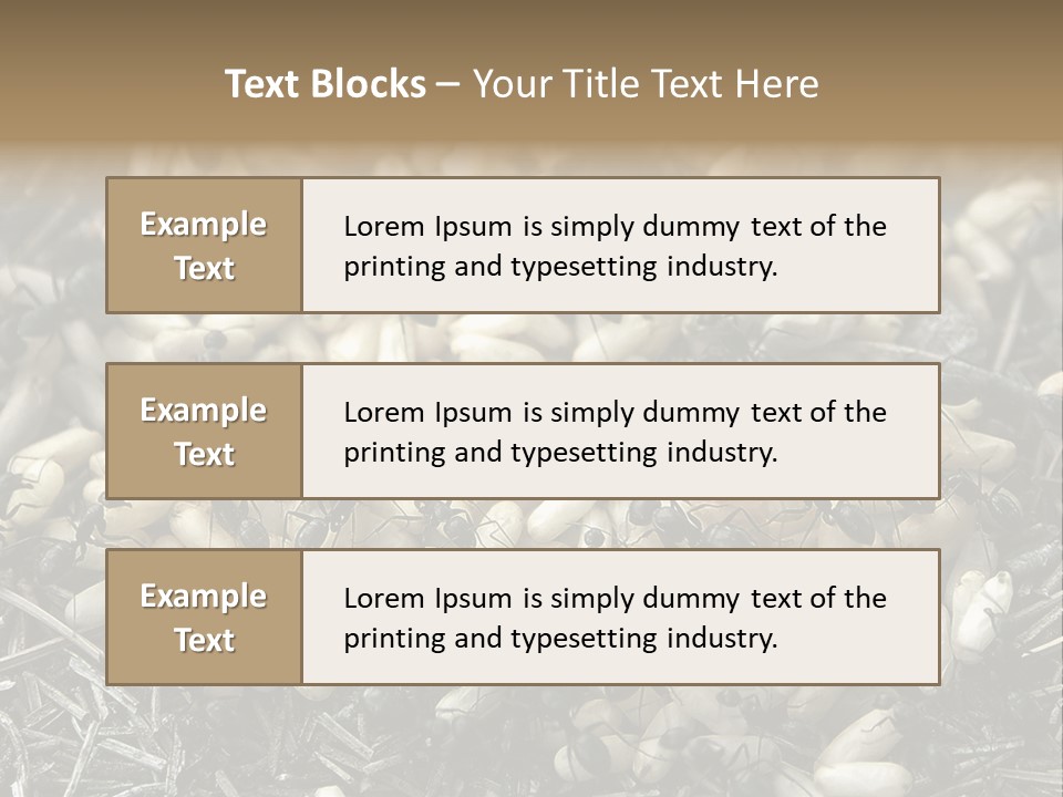 Worker Insect Detail PowerPoint Template