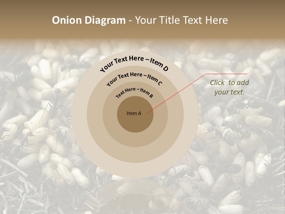 Worker Insect Detail PowerPoint Template