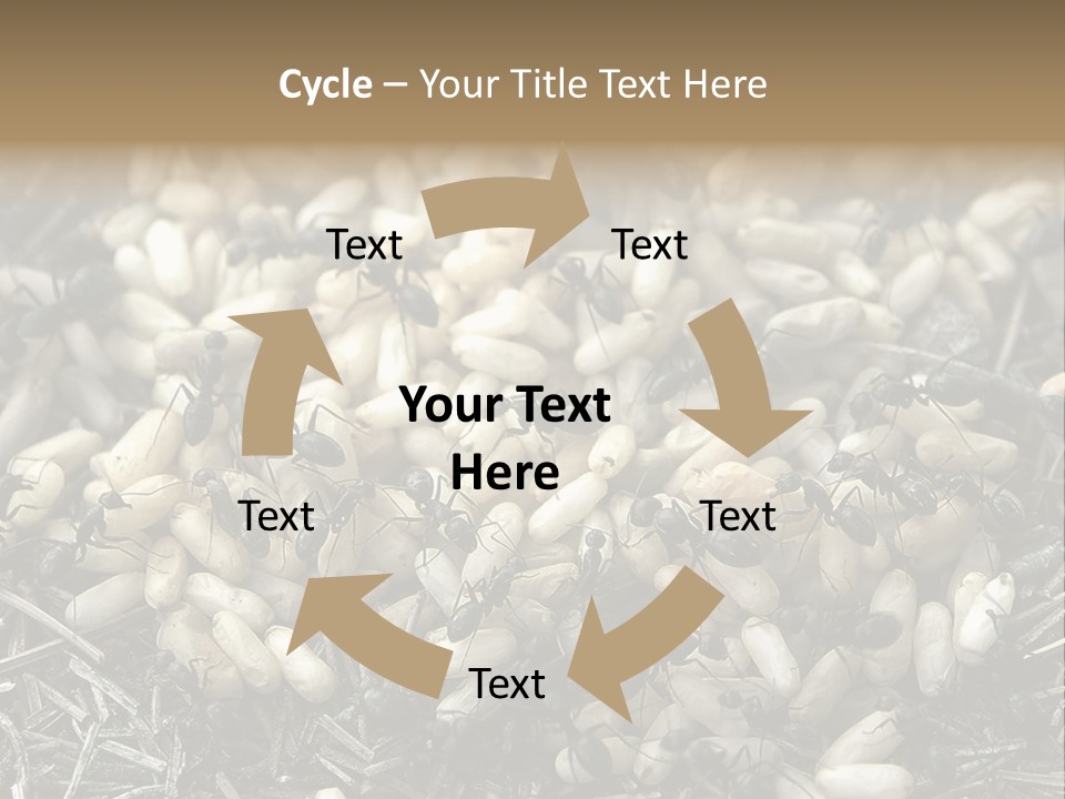 Worker Insect Detail PowerPoint Template