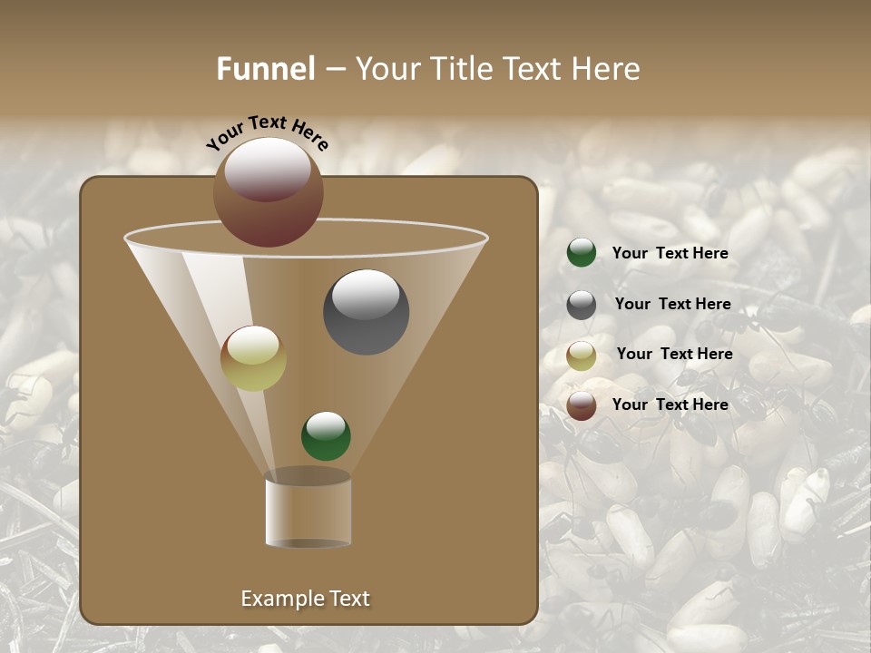 Worker Insect Detail PowerPoint Template