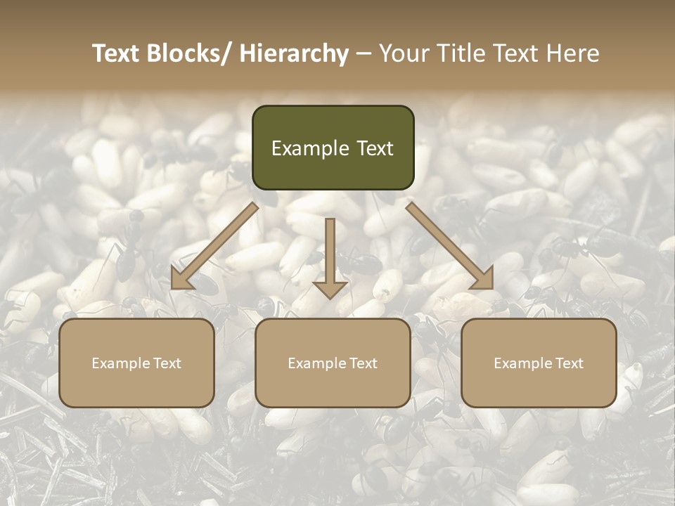 Worker Insect Detail PowerPoint Template