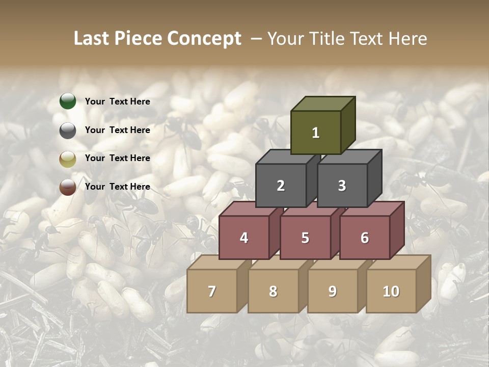 Worker Insect Detail PowerPoint Template