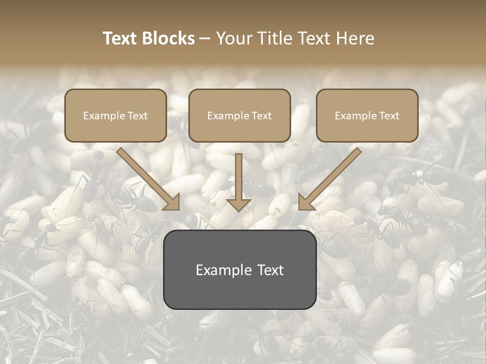 Worker Insect Detail PowerPoint Template