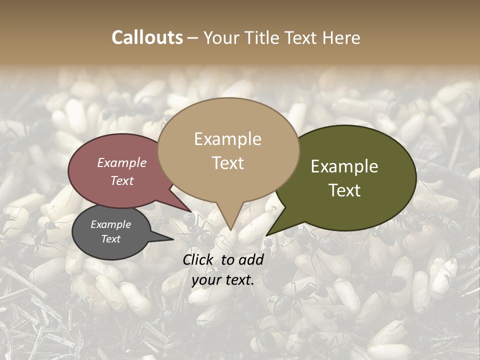 Worker Insect Detail PowerPoint Template