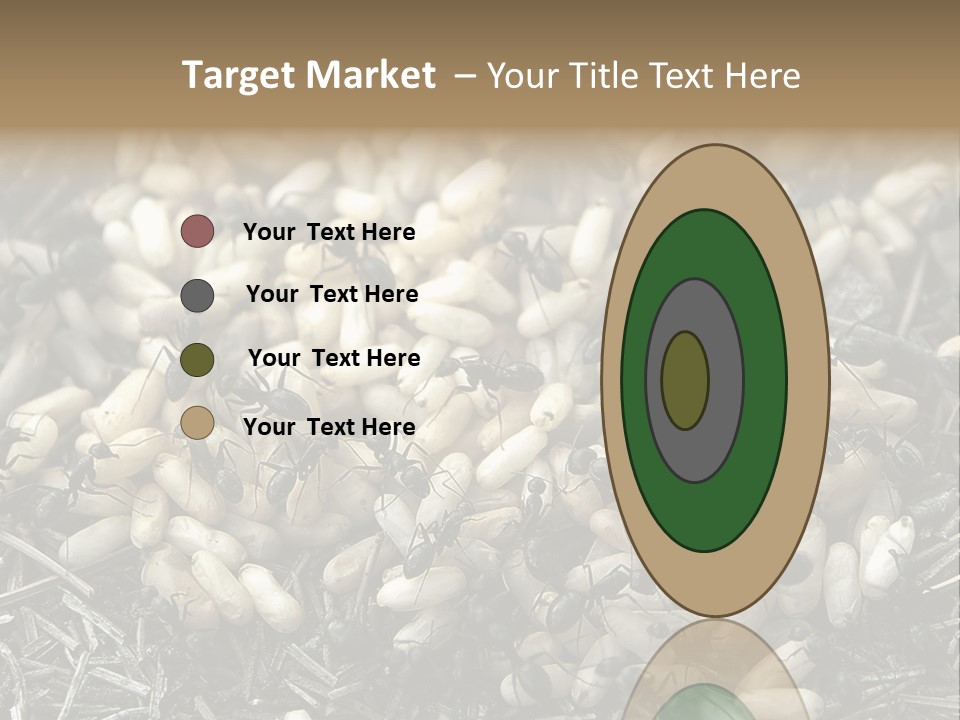 Worker Insect Detail PowerPoint Template