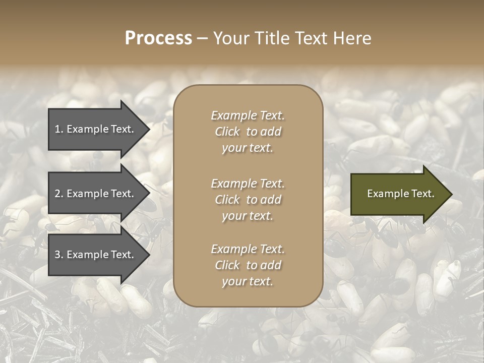 Worker Insect Detail PowerPoint Template