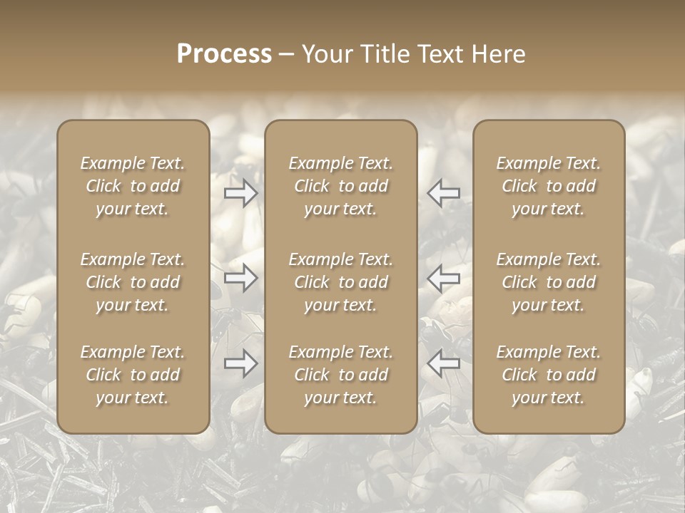 Worker Insect Detail PowerPoint Template