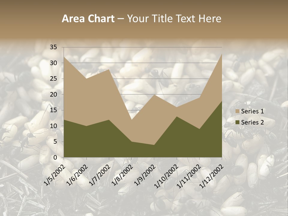 Worker Insect Detail PowerPoint Template