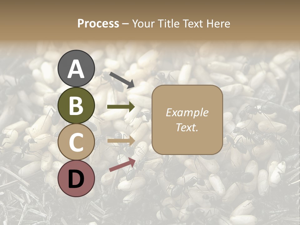 Worker Insect Detail PowerPoint Template