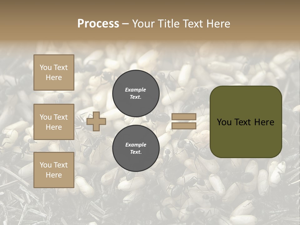 Worker Insect Detail PowerPoint Template