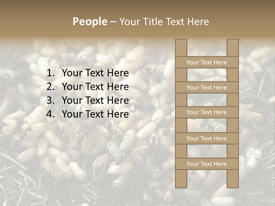 Worker Insect Detail PowerPoint Template