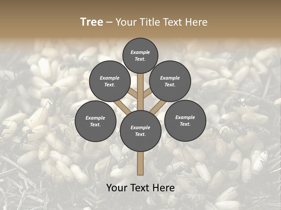 Worker Insect Detail PowerPoint Template