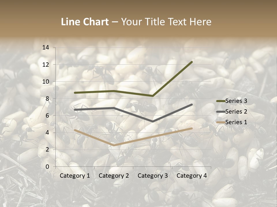 Worker Insect Detail PowerPoint Template