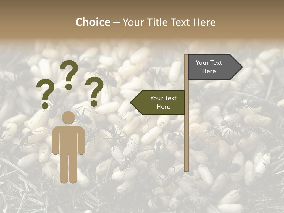 Worker Insect Detail PowerPoint Template