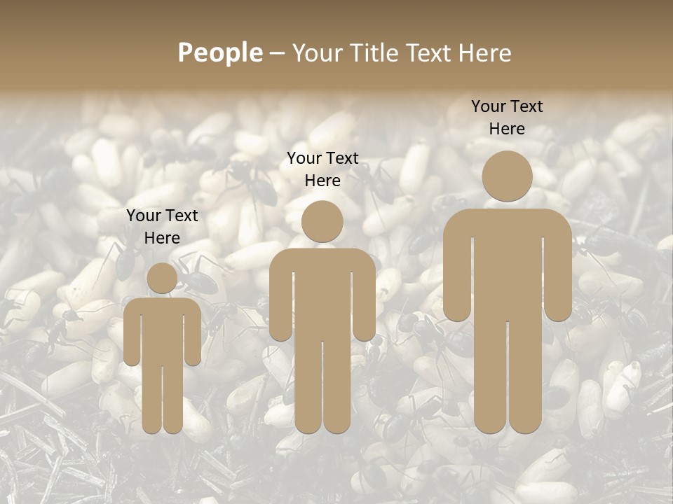 Worker Insect Detail PowerPoint Template