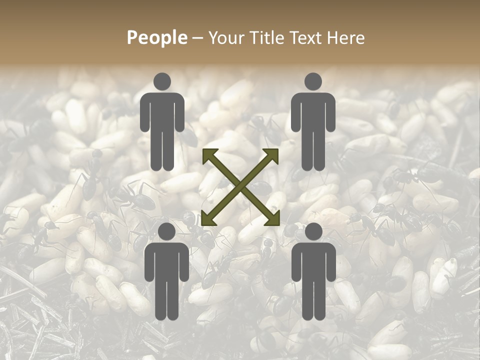 Worker Insect Detail PowerPoint Template