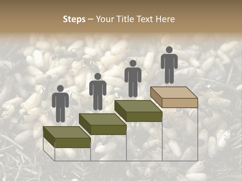 Worker Insect Detail PowerPoint Template