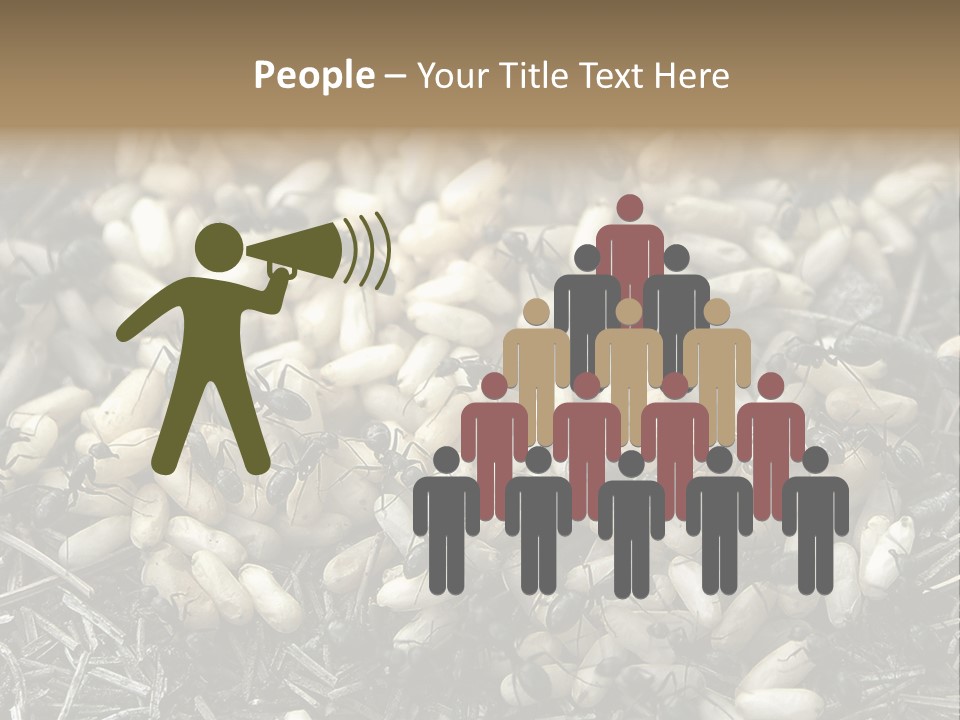 Worker Insect Detail PowerPoint Template