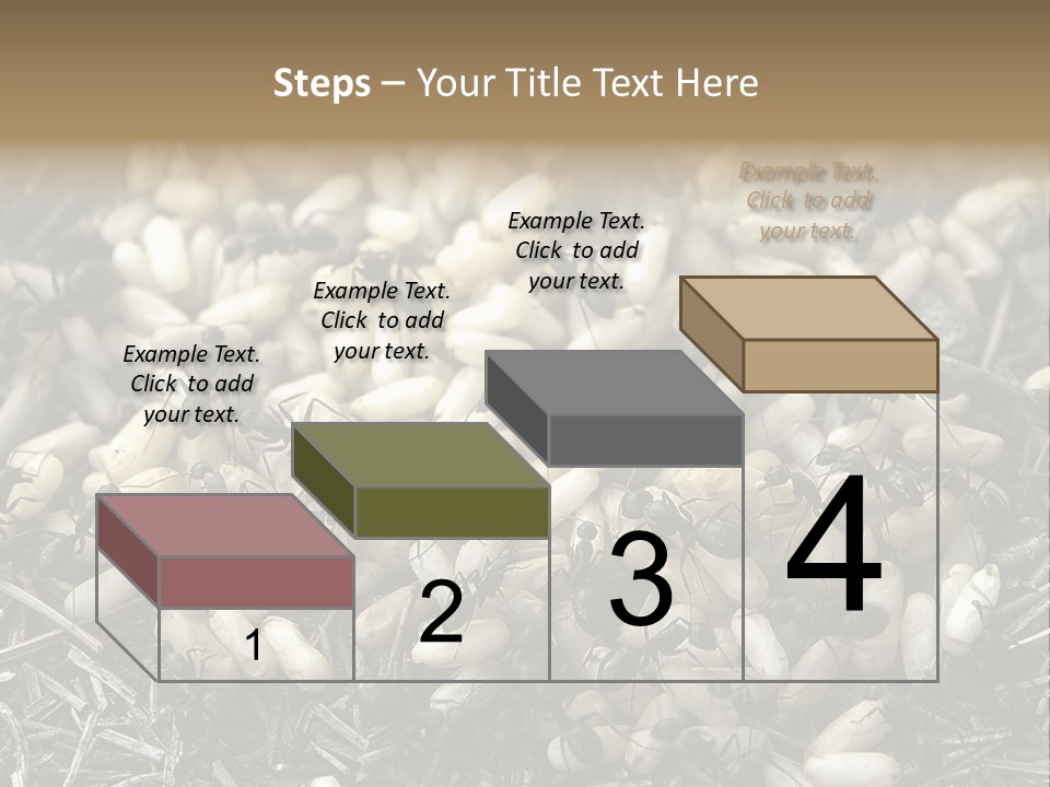 Worker Insect Detail PowerPoint Template