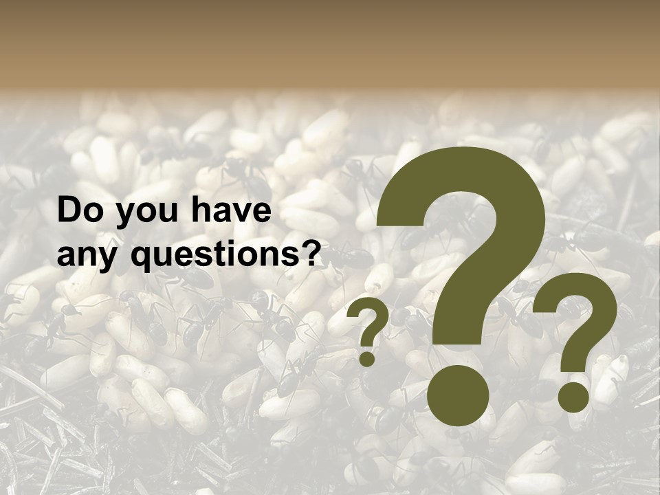 Worker Insect Detail PowerPoint Template