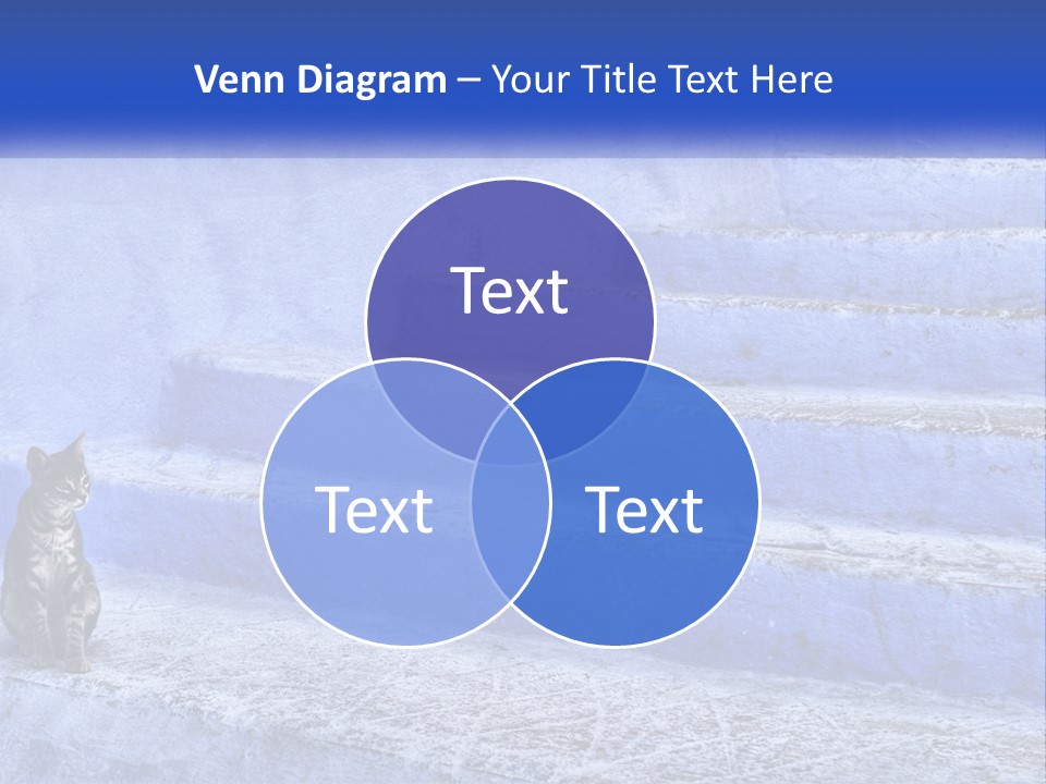Domestic Light Africa PowerPoint Template