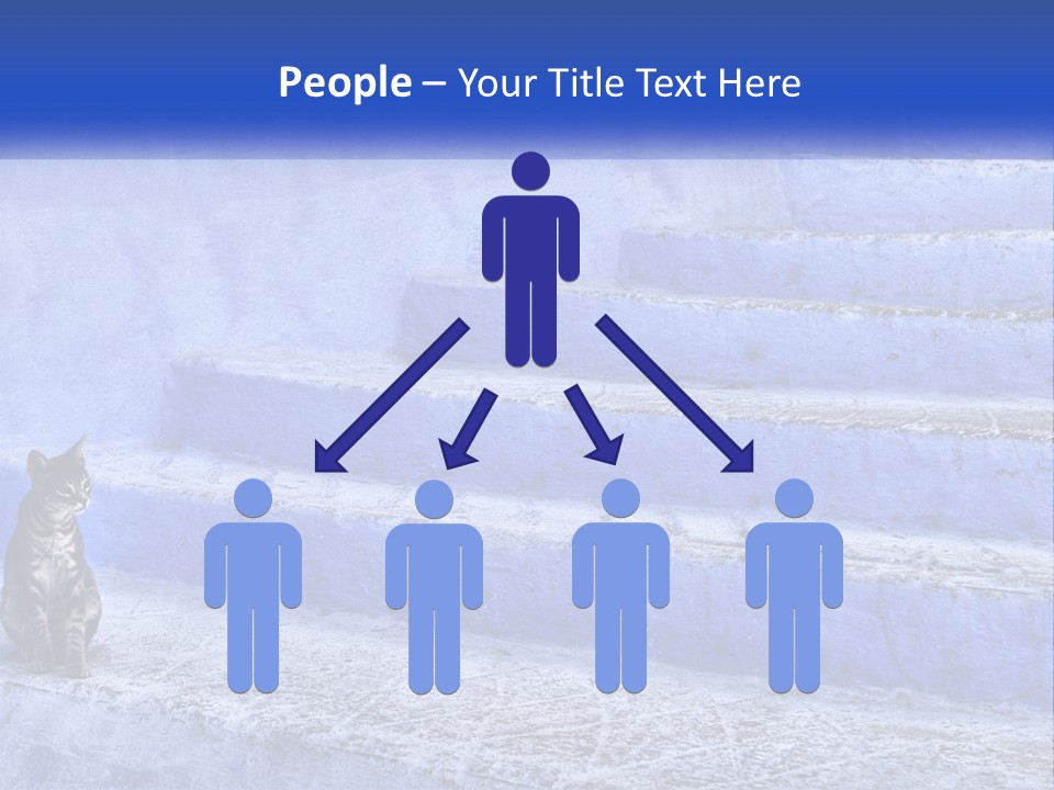 Domestic Light Africa PowerPoint Template